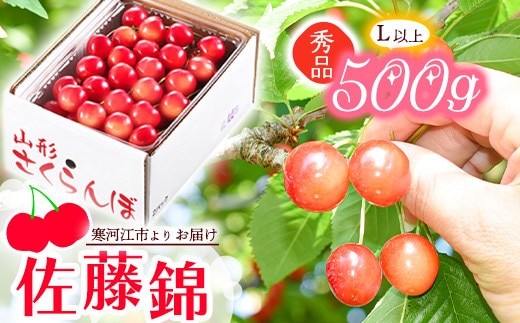 《先行予約》 令和8年産 山形の さくらんぼ 「 佐藤錦 」 500g 秀品 L以上 山形県産 2026年産【2026年6月上旬頃～6月下旬頃発送予定】 ※配送不可 沖縄・離島 021-A-JA043