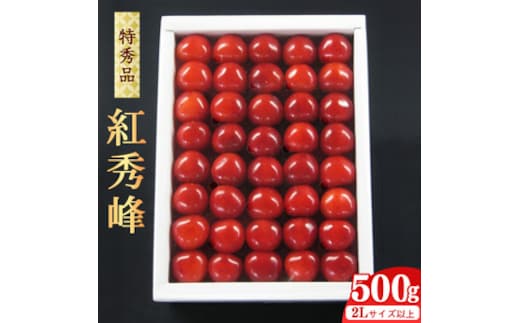 《先行予約》 令和8年産 【厳選】 さくらんぼ 「 紅秀峰 」 500g 特秀品 2L以上 化粧詰 山形県産 2026年産 【2026年6月中旬頃～7月上旬頃発送予定】 ※配送不可 沖縄・離島 041-A-JA026