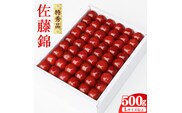 《先行予約》 令和8年産 【厳選】 さくらんぼ 「 佐藤錦 」 500g 特秀品 L以上 化粧詰 2026年産 山形県産 【2026年6月上旬頃～6月下旬頃発送予定】 ※配送不可 沖縄・離島 039-A-JA045