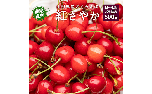 《先行予約》令和8年産 さくらんぼ 紅さやか バラパック 500g（パック含む）Mサイズ 秀品 山形県産【2026年5月下旬頃から6月上旬頃発送予定】※ 配送不可 沖縄・離島 010-A-JF038