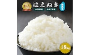 【令和7年産】新米 無洗米 はえぬき 8kg（4kg×2袋）2025年産 【2025年9月下旬頃から順次発送予定】　027-C-JF034-2025