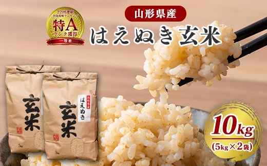 【令和7年産】はえぬき 玄米 10kg（5kg×2袋）2025年産【2025年10月頃から順次発送予定】 026-C-JF006-2025