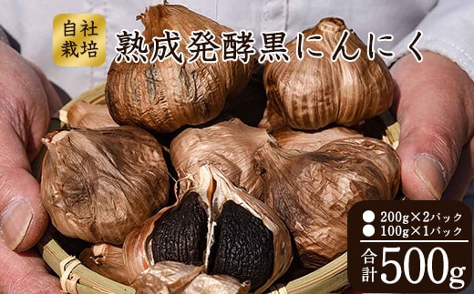こだわり農家の「発酵熟成 黒にんにく」500g 山形県産 013-G-JF011