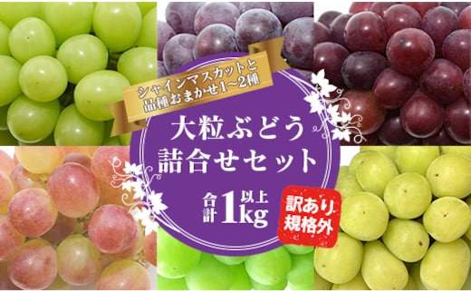 《先行予約・ご家庭用》令和8年産 訳あり シャインマスカットとお任せ1～2種 ぶどう 詰合せ セット 計1kg 山形県産 2026年産【2026年9月中旬頃～11月頃発送予定】 013-B-JF020