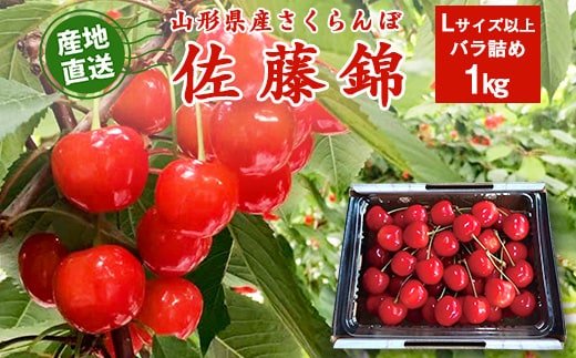 《先行予約》令和9年産 山形県産 さくらんぼ 佐藤錦 1kg Lサイズ以上 秀品 【2027年5月下旬頃から6月中旬頃発送予定】※ 配送不可 沖縄・離島 030-A-JF032