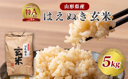 【令和8年産】はえぬき 玄米 5kg（5kg×1袋）2026年産 山形県産 【2026年9月下旬頃より発送予定】 012-C-JF039-R8