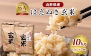 【令和7年産】はえぬき 玄米 10kg（5kg×2袋）2025年産【2025年10月頃から順次発送予定】　026-C-JF006-2025