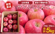 《 ご家庭用 》 サンふじ りんご 5kg 山形県産 (約10玉～20玉) 2025年産 令和7年産 【2025年11月下旬頃より順次発送予定】（フードロス対応・食品ロス・SDGs・生産者支援）　013-B-JF029