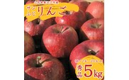こだわり農家の 有機質肥料栽培 りんご 5kg 秀品 「サンふじ」（12～20玉） 【2025年11月頃より順次発送予定】　015-B-JF002