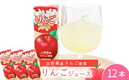 りんごジュース 200ml×12本セット 《簡易包装》 果汁100％ 紙パック 山形 りんご ジュース　008-G-MB010