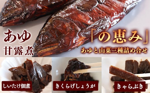 国産の厳選素材にこだわった 鮎と山菜三種佃煮の詰め合わせ「の恵み」（鮎甘露煮・きくらげしょうが・しいたけ佃煮・きゃらぶき） 【 お取り寄せ グルメ 和食 おかず 惣菜 魚 煮魚 魚料理 ご飯のお供 肴 おつまみ 晩酌 詰合せ セット 東北 山形県 】 012-G-MH002