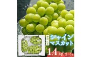 《先行予約》 令和8年産 「 シャインマスカット 」 2～3房（計1.4kg） 山形県産 【2026年9月中旬頃～10月下旬頃発送予定】※配送不可 沖縄・離島 　018-B-MM022
