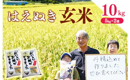 玄米 山形県産 はえぬき 10kg（5kg×2袋） 2025年産 令和7年産 10キロ 山形県寒河江市 036-C-MM047