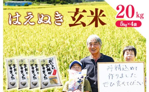玄米 山形県産 はえぬき 20kg（5kg×4袋） 2025年産 令和7年産 20キロ 山形県寒河江市 072-C-MM048