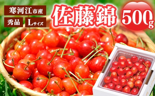 《先行予約》 令和8年産 さくらんぼ 「佐藤錦」 秀品 500g Lサイズ 山形県産 2026年産 【2026年6月上旬頃～下旬頃発送予定】 ※配送不可 沖縄・離島 018-A-MM075