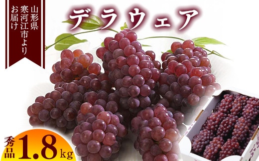 《先行予約》 令和8年産 「デラウェア」 秀品 約1.8kg （8-16房） 種無しぶどう 山形県産【2026年7月末頃 - 8月末頃発送予定】 ※配送不可 沖縄・離島 012-B-MM010