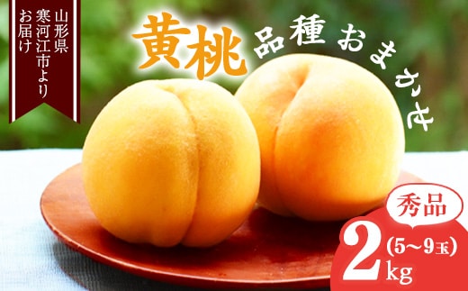《先行予約》令和8年産 山形の黄桃 秀品 2kg（5 - 9玉） 品種おまかせ 秀品 2026年産 山形県産【2026年8月中旬頃から9月下旬頃発送予定】※ 配送不可 沖縄・離島 013-B-MM017