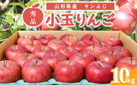 秀品 小玉りんご「サンふじ」 10kg （40 - 50玉入）【2026年1月上旬頃～下旬頃発送予定】 018-B-MM035