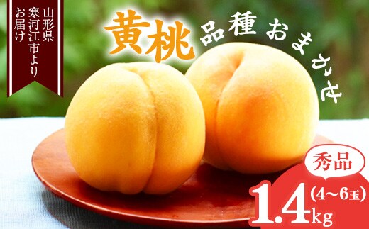 《先行予約》令和8年産 山形の黄桃 秀品 1.4kg（4 - 6玉） 品種おまかせ 秀品 2026年産 山形県産 【2026年8月中旬頃から9月下旬頃発送予定】※ 配送不可 沖縄・離島 011-B-MM071