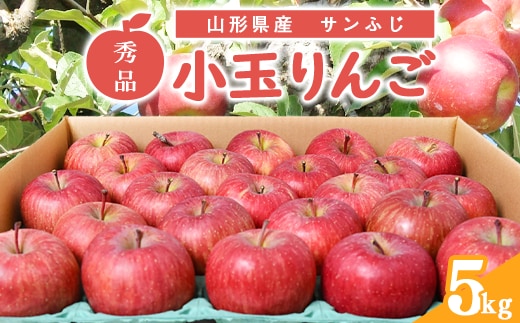 秀品 小玉りんご「サンふじ」 5kg （20 - 25玉入）【2026年1月上旬頃～下旬頃発送予定】 012-B-MM085