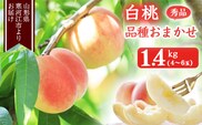 《先行予約》令和8年産 山形の白桃 秀品 1.4kg（4 - 6玉） 品種おまかせ 秀品 2026年産 山形県産【2026年8月上旬頃から9月下旬頃発送予定】※ 配送不可 沖縄・離島 011-B-MM069