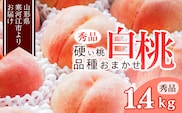 《先行予約》令和8年産 山形の硬い桃 秀品 1.4kg（4 - 6玉） 品種おまかせ 秀品 2026年産 山形県産【2026年8月中旬頃から9月下旬頃発送予定】※ 配送不可 沖縄・離島 011-B-MM070