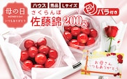 【先行予約】母の日《温室栽培》さくらんぼ 「 佐藤錦 」秀品 Lサイズ 200g（100g×2パック）バラ付き（生花）令和8年産 山形県産 【2026年5月7日・8日・9日 発送予定】 ※配送不可 沖縄・離島　019-A-MM088