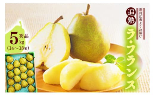 洋梨 「追熟 ラ・フランス」 5kg（14 - 18玉） 秀品 山形セレクション認定品 山形産 【2025年10月末頃から2026年1月頃発送予定】 018-B-MM026