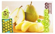 洋梨 「追熟 ラ・フランス」 5kg（14 - 18玉） 秀品 山形セレクション認定品 山形産 【2025年10月末頃から2026年1月頃発送予定】　018-B-MM026