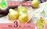 洋梨 「追熟 シルバーベル 」 3kg 秀品 （6 - 10玉） 秀品 山形産【2025年12月頃から2026年1月頃発送予定】　012-B-MM031
