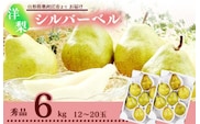 洋梨 「追熟 シルバーベル 」 6kg 秀品 （12 - 20玉） 秀品 山形産【2025年12月頃から2026年1月頃発送予定】　018-B-MM032