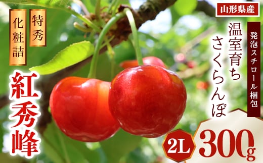 《先行予約》令和8年産 温室育ち さくらんぼ 紅秀峰 2L 特秀品 300g 化粧詰（発泡スチロール梱包）山形県産 【2026年4月下旬頃～5月中旬頃発送予定】 ※配送不可 沖縄・離島 038-A-MZ006