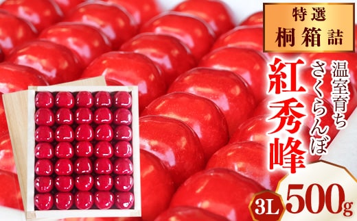 《先行予約》令和8年産 特選 温室育ち さくらんぼ 紅秀峰 3L 特秀品 500g 桐箱詰（発泡スチロール梱包）2026産 山形県産【2026年5月上旬頃～5月中旬頃発送予定】※ 配送不可 沖縄・離島 520-A-MZ008