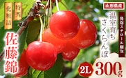 《先行予約》令和8年産 温室育ち さくらんぼ 佐藤錦 2L 特秀品 300g 化粧詰（発泡スチロール梱包）山形県産 【2026年4月下旬頃～5月中旬頃発送予定】 ※配送不可 沖縄・離島　038-A-MZ005
