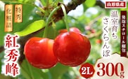 《先行予約》令和8年産 温室育ち さくらんぼ 紅秀峰 2L 特秀品 300g 化粧詰（発泡スチロール梱包）山形県産 【2026年4月下旬頃～5月中旬頃発送予定】 ※配送不可 沖縄・離島　038-A-MZ006