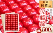 《先行予約》令和8年産 特選 温室育ち さくらんぼ 佐藤錦 2L 特秀品 500g 桐箱詰（発泡スチロール梱包）2026産 山形県産【2026年5月上旬頃～5月中旬頃発送予定】※ 配送不可 沖縄・離島　350-A-MZ007