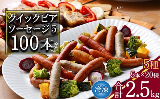 クイックビアソーセージ5 合計2.5kg（125g×小分け20パック：計100本） 【粗挽き・チョリソー・ハーブ・黒胡椒・カレー 5種】あらびき ウインナー ソーセージ 食べ比べ おかず おつまみ 弁当 惣菜 小分け 個包装 便利 冷凍 保存 備蓄 大容量 業務用 湯煎 アウトドア バーベキュー 国内製造 日東ベスト 031-D-NB003