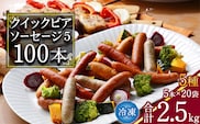【本格バルの味】クリックビアソーセージ5 合計2.5kg（125g×小分け20パック：計100本） 【粗挽き・チョリソー・ハーブ・黒胡椒・カレー 5種】小分け 個包装 あらびき 大容量 業務用 国内製造　031-D-NB003