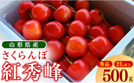 【先行予約】令和8年産 さくらんぼ 「 紅秀峰 」500g 秀品 2Lサイズ以上 2026年産 山形県産 【2026年6月中旬頃～7月上旬頃発送予定】※配送不可 沖縄・離島 017-A-OT008