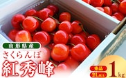 【先行予約】令和8年産 さくらんぼ 「 紅秀峰 」1kg （500g×2パック） 秀品 2Lサイズ以上 2026年産 山形県産 【2026年6月中旬頃～7月上旬頃発送予定】※配送不可 沖縄・離島　029-A-OT006