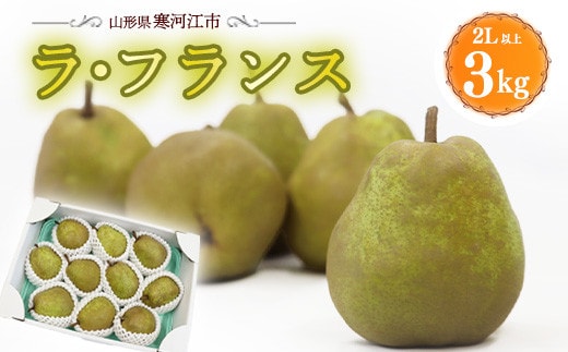 厳選 ラ・フランス 3kg（8～11玉）2L以上 山形県産 2025年産 令和7年産 【2025年11月上旬頃～12月下旬頃発送予定】 012-B-OT001