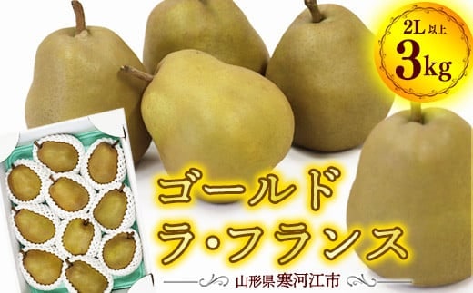 令和8年産 希少な 金系 ゴールド ラ・フランス 3kg（ 8 - 11 玉 ）2Lサイズ以上 サイズおまかせ 山形県産 【2026年11月上旬頃から12月下旬頃発送予定】 015-B-OT003