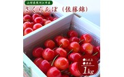【注意事項デモページ（A）】土作りからこだわった！《植物性有機肥料使用》 さくらんぼ「佐藤錦」1kg（500g×2パック） 秀品 Lサイズ以上【2026年6月上旬頃から下旬頃発送予定】※ 配送不可 沖縄・離島　026-A-OT005