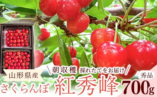 【先行予約】令和8年産 さくらんぼ 紅秀峰 Lサイズ以上 秀品 700g （350g×2パック） 2026産 山形県産 【2026年6月中旬頃～7月中旬頃発送予定】※配送不可 沖縄・離島 024-A-RF001