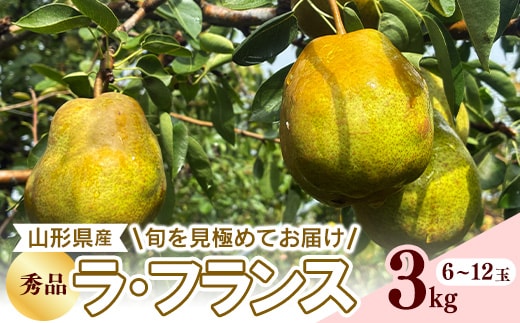 【ふるさと納税】令和8年産 西洋梨 ラ・フランス 秀品 3kg 山形県産【2026年10月下旬頃から12月中旬頃発送予定】 012-B-RF012