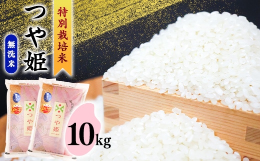 【2026年4月発送】無洗米 「つや姫」 10kg（5kg×2袋） 《特別栽培米》令和7年産 2025年産 ／ 人気 小分け 便利 節水 ブランド米 ごはん お米 ご飯 農家直送 生産者直送 山形産 山形県産 山形県 寒河江市 10キロ 036-C-SR006-202604
