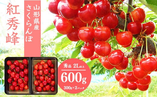 さくらんぼ 「紅秀峰」秀品 2Lサイズ以上 600g（300g×2） 《化粧箱入り》 山形産 2024年産 令和6年産  【2024年6月下旬頃～7月上旬頃発送予定】 024-A-SW001 | dショッピングふるさと納税百選