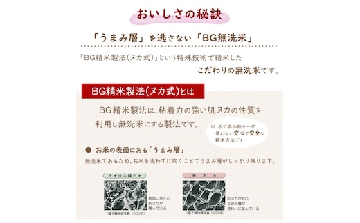 胚芽精米】BG無洗米 はえぬき 10kg（2kg×5袋）真空パック 山形県産 【 お取り寄せ 山形産 お米 ごはん コメ 保存 保管 備蓄 小分け  環境 エコ 個包装 ストック 防災 災害 使い切り キャンプ アウトドア キューブ 長持ち 東北 山形 2キロ 10キロ 】 028-C-TH002 