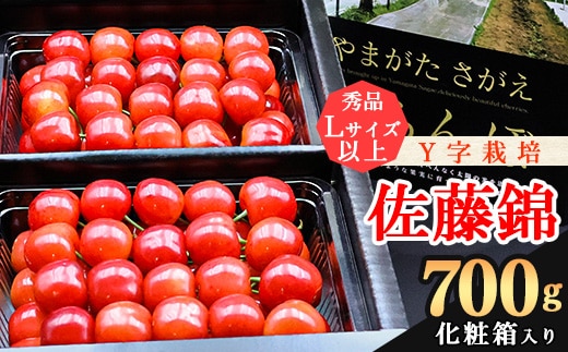 《先行予約！》令和8年産 さくらんぼ《こだわりのY字仕立て栽培》「佐藤錦」700g 秀品 Lサイズ以上 化粧箱入り 2026年産 山形県産 【2026年6月上旬頃～下旬頃発送予定】※配送不可 沖縄・離島 024-A-YJ001