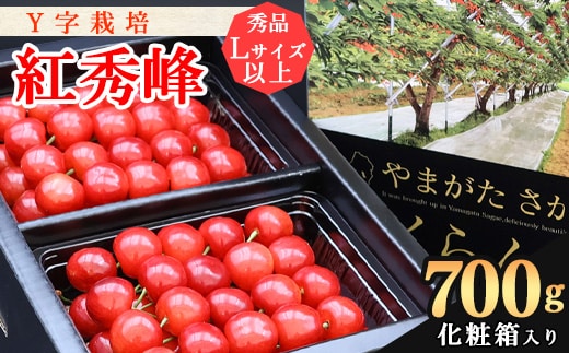 《先行予約！》山形県産 さくらんぼ《こだわりのY字仕立て栽培》「紅秀峰」700g 秀品 Lサイズ以上 化粧箱入り 【2026年6月中旬頃～7月上旬頃発送予定】※配送不可 沖縄・離島 026-A-YJ002